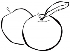 Результат пошуку зображень за запитом рисунок яблука
